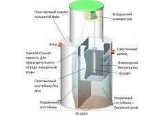 Панда Кинг 5